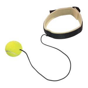 Купить Эспандер боевой мяч Fight Ball в Голицыне 